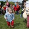 Sázení festivalového stomu