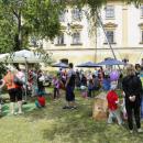 Festivalový zámek - park