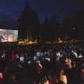 Open-air screening