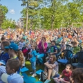 Theatre performances in the park